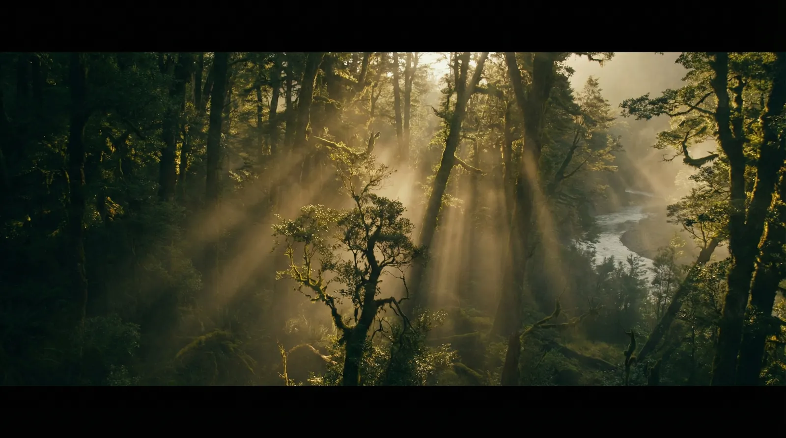 竟博体育app 自然纪录片风格调色案例